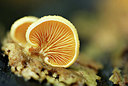BUITEN BEELD Foto: 344304