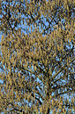 BUITEN BEELD Foto: 344351