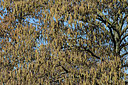 BUITEN BEELD Foto: 344352