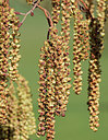 BUITEN BEELD Foto: 344353