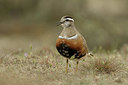 BUITEN BEELD Foto: 344492