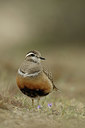 BUITEN BEELD Foto: 344493