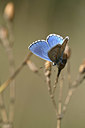 BUITEN BEELD Foto: 344518