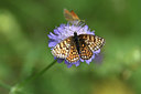BUITEN BEELD Foto: 344520