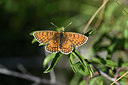 BUITEN BEELD Foto: 344538