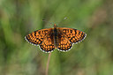 BUITEN BEELD Foto: 344539