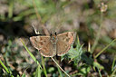 BUITEN BEELD Foto: 344545