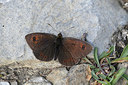 BUITEN BEELD Foto: 344567