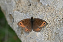 BUITEN BEELD Foto: 344591