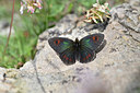 BUITEN BEELD Foto: 344593