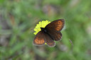 BUITEN BEELD Foto: 344599