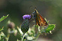 BUITEN BEELD Foto: 344614