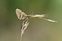 BUITEN BEELD Foto: 344693