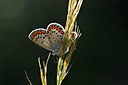 BUITEN BEELD Foto: 344734