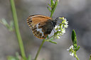 BUITEN BEELD Foto: 344771