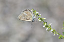 BUITEN BEELD Foto: 344774