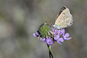 BUITEN BEELD Foto: 344775