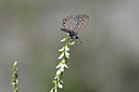 BUITEN BEELD Foto: 344776