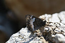 BUITEN BEELD Foto: 344797
