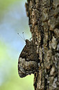 BUITEN BEELD Foto: 344802
