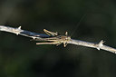 BUITEN BEELD Foto: 344836