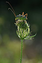 BUITEN BEELD Foto: 344844
