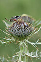 BUITEN BEELD Foto: 344882