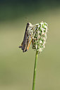 BUITEN BEELD Foto: 344888