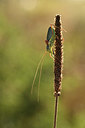 BUITEN BEELD Foto: 344917