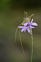 BUITEN BEELD Foto: 344926