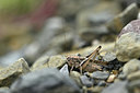 BUITEN BEELD Foto: 344928