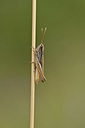 BUITEN BEELD Foto: 344936