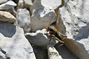 BUITEN BEELD Foto: 344981