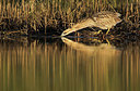 BUITEN BEELD Foto: 344997