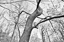 BUITEN BEELD Foto: 345070