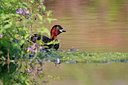 BUITEN BEELD Foto: 345174