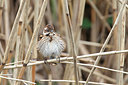 BUITEN BEELD Foto: 345186