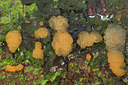 BUITEN BEELD Foto: 345203
