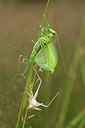 BUITEN BEELD Foto: 345219