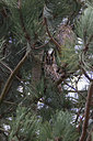 BUITEN BEELD Foto: 345437