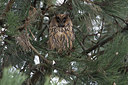 BUITEN BEELD Foto: 345439