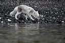 BUITEN BEELD Foto: 345458