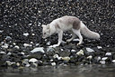BUITEN BEELD Foto: 345459