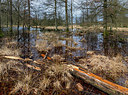 BUITEN BEELD Foto: 345601