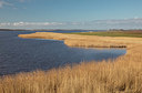 BUITEN BEELD Foto: 345616