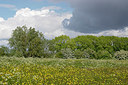 BUITEN BEELD Foto: 345671