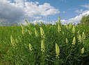 BUITEN BEELD Foto: 345686