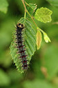 BUITEN BEELD Foto: 345759