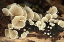 BUITEN BEELD Foto: 345767