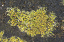 BUITEN BEELD Foto: 345775